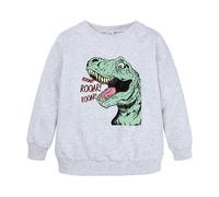 Baby Pullover 56 Giovani Ragazzi Ragazzi Ragazze Bambini Unisex Cartoon Animali Dinosauri Stampato Felpa Felpa Felpa con Cappuccio Per Ragazze Ragazzi Con Fori Ragazzi, grigio., 1-2 Anni