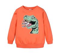 Baby Pullover 56 Giovani Ragazzi Ragazzi Ragazze Bambini Unisex Cartoon Animali Dinosauri Stampato Felpa Felpa Felpa con Cappuccio Per Ragazze Ragazzi Con Fori Ragazzi, Colore: arancione., 1-2 Anni