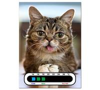 Baby Safe Ideas Meow - Termometro per cameretta, con tecnologia di facile lettura e cambio colore, ideale anche per adulti