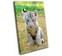 Baby White Tiger Animals SINGLE TELA parete arte foto stampa