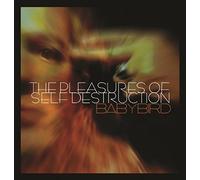 Babybird - Pleasures Of Self Destruction