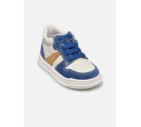 Babybotte - Amsterdam Bianco - Sneakers 19 Bianco