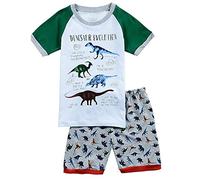 Babyfashion Pigiama Pantaloncini 2 Pezzi di Dinosauro Sia Par Bambino Sia per Ragazzo Sono 100% di Cotone(da 2 Anni Fino a 10 Anni)(Grigio-6-7 Anni)