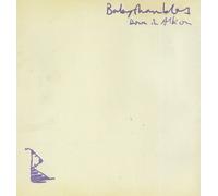 Babyshambles Down In Albion (CD)