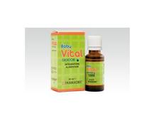 BABYVITAL GOCCE 20ML