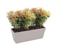 Bac fiori balc LU 50 cm