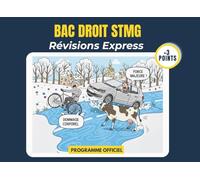 BAC STMG : Tout le programme de droit en infographies | Élève de première et terminale STMG: 100% visuel, 0% blabla, objectif Bac | Conforme au programme de l'Education Nationale