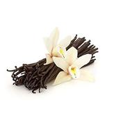 Baccelli di Vaniglia Bourbon - 10 Pezzi - 13/18 cm - Primissima Scelta - Naturali al 100% - Selezionati a mano, privi di conservanti e solfiti - Italia Spezie