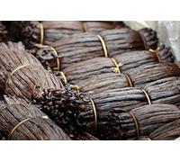 Baccelli di vaniglia di grado A (16-18 cm) Gourmet vaniglia interi per estratto di vaniglia e cottura (16 cm+, 5)