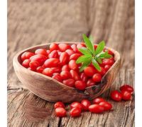 bacche di goji facile curare decorazione giardino roccioso adatto 90semi