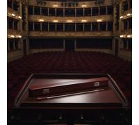 Bacchetta di Legno per Musica, Bacchetta Da Direzione per Banda Musicale,