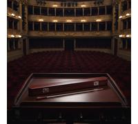 Bacchetta di legno per musica, regalo ideale per orchestra e direttori