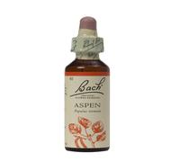 Bach Aspen