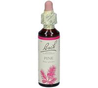 Bach BACH CENTER ESS PINE 20ML