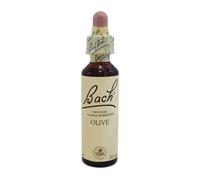 Bach Center Ess Olive 20ml
