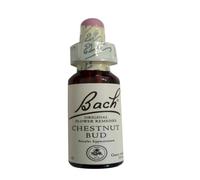 Chestnut Bud Fiori Di Bach® Original 20ml