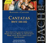 Bach-Ensemble/Helmut - Cantatas Bwv100-102(Was Gott Tut, D