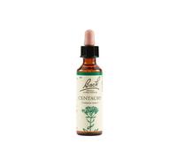 Bach Flower Remedies Centaury N.4 Gocce 20 Ml