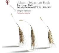 Johann Sebastia Johann Sebastian Bach: Du Treuer Gott: Leipzig Cantatas BWV (CD)