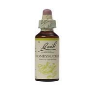 Bach Honeysuckle