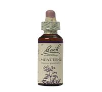 Bach Impatiens