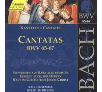 Bach, J.S. - Cant Vol.21