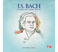 Bach, J.S. - Canzona in D Minor