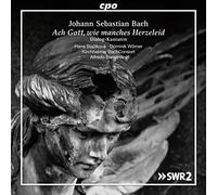 Bach.J.S./ Worner/Giebelhausen/ Bernardini - Ach Gott Wie Manches Herzeleid