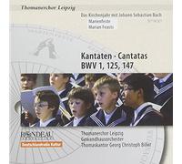 Bach Johann Sebasti - Liturgical Year With Js Bach