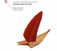 Vinile Johann Sebastian Bach - Mottetti Bwv 225 - 230 (2 Lp)