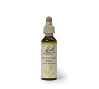 Bach Original Flower Remedies Chestnut Bud - 20 ml