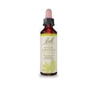 Bach Original Flower Remedies White Chestnut - 20 ml