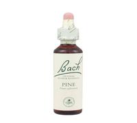 Bach Pine