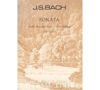 BACH - Sonata en Re menor para Flauta de Pico Alto