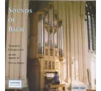Bach - Sounds of Bach