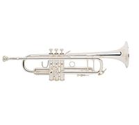Bach Trombone, Lacca (18072G)