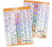 Bachblüten-Kompass Teil 2 - Die Seelenblüten Nr. 13 bis 24: Emotionale Beschwerden verstehen • Tiefe Blüten-Wirkung erleben • Wieder ganz Du selbst werden