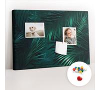 Bacheca Facile apprendimento Per imparare Scuola 60x40 Foglie tropicali