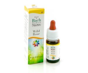 BACHFLOWERS 37 Wild Rose 10ml