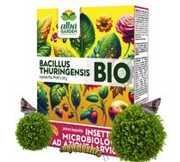 Bacillus Thuringiensis Kurstaki contro Processionaria del Pino Insetticida