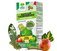 Bacillus Thuringiensis Kurstaki MAXI x 100 GR Insetticida Per Piante Biologico