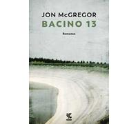 Bacino 13