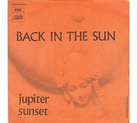 Back In The Sun [Vinyl Single 7'']