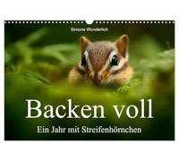 Backen voll - Ein Jahr mit Streifenhörnchen (Wandkalender 2026 DIN A3 quer), CALVENDO Monatskalender: Frech, flink und fabelhaft gestreift - der Kalender für alle, die Streifenhörnchen lieben!