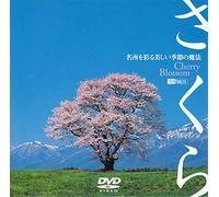 (Background Video) - Synforest Dvd Cherry Blossom [Edizione: Giappone]