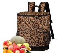 Backpack Cooler Insulated Bag with Leak Proof Lining, Thermal Bags with Padded Straps, 11.4x6.2x12.9 Inch Large Capacity Pack, Polyester Cooling Sack, Modern Style for Hiking, Lunch Container for Work