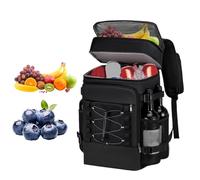 Backpack Cooler, Portable Ice Chest, 15.75x11.02x8.66 Inches Large Capacity Reusable Soft Ice Box Tote Cooling Bag for Camping, Travel, Hiking, Beach, Picnic, School, Lunch, Work, Outdoor
