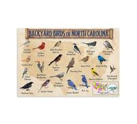 Backyard Birds of North Carolina - Bird Watching Tela Poster Decorazione Pittura Soggiorno Arte Murale Camera da Letto Pittura Pittura Arte Moderna Home Boy Camera Stampa Pittura Ragazza Url