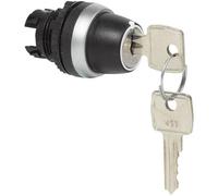 BACO 223961 L21ND00 Interruttore a chiave Anello frontale in plastica, cromato