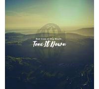 Bad Case of Big Mouth Tone It Down (CD)